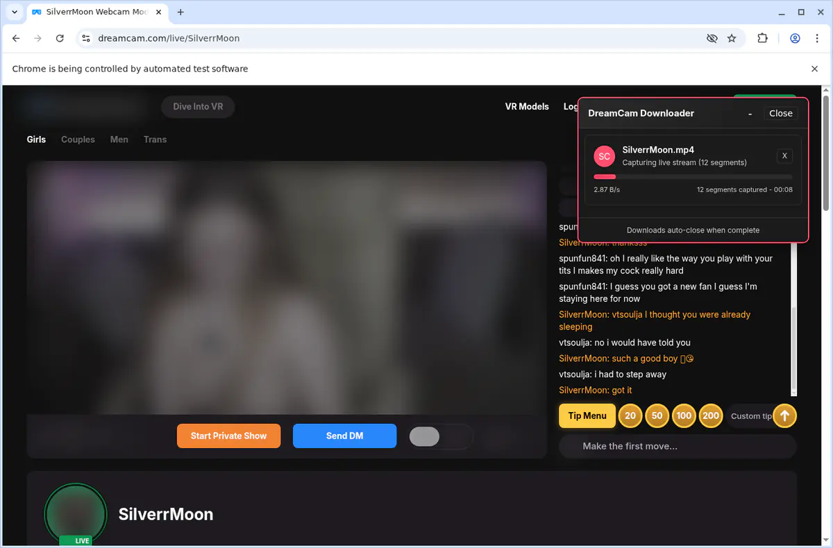 Dreamcam Video Downloader screenshot 2